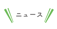 ニュース